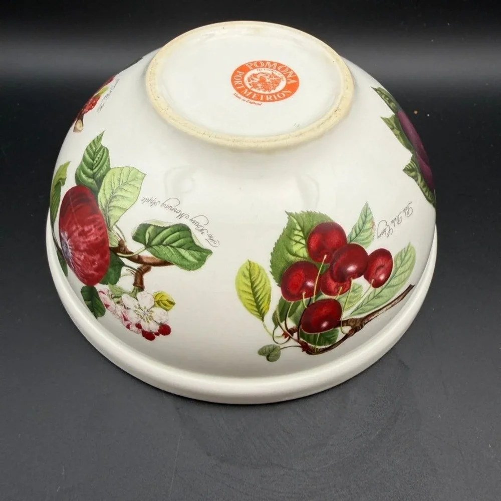 Vtg Portmeirion Pomona Serving Mixing Bowl 6 3/4